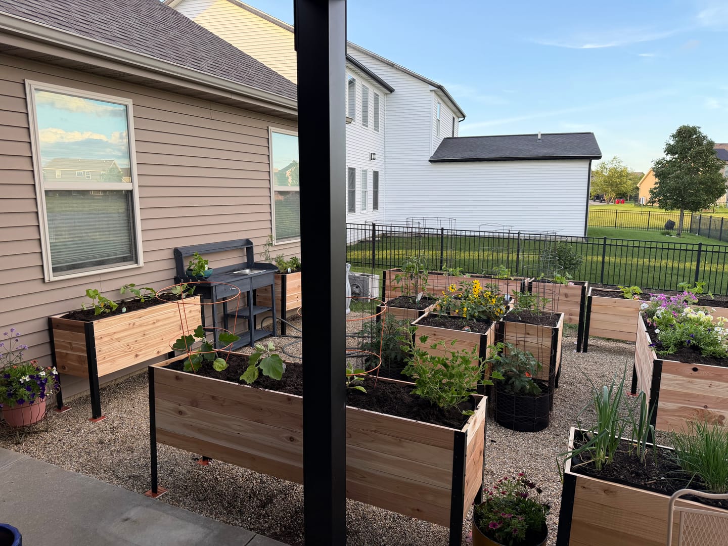 Customer photo review of 18" x 72" Raised Garden Bed - 30" TALL / Garden Grade