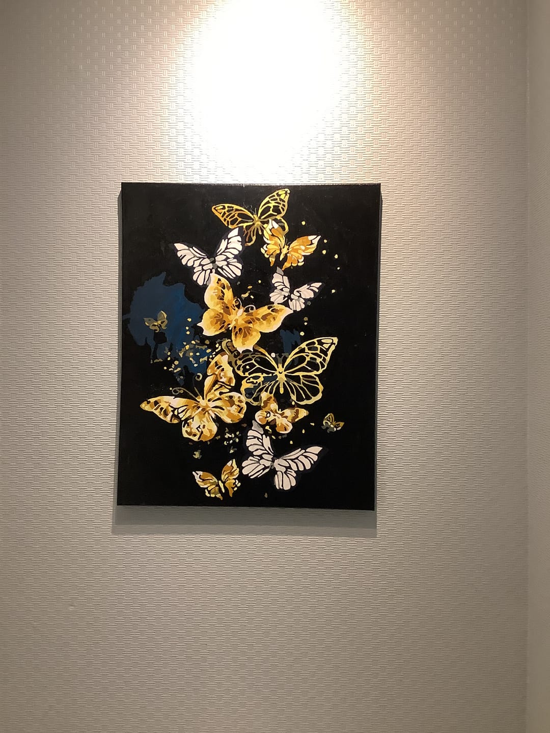 Customer photo review of Papillons féériques
