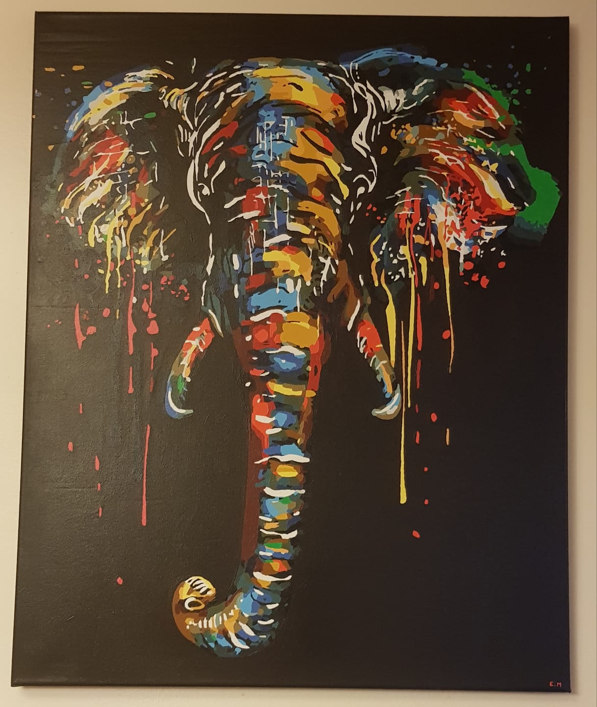 Customer photo review of Peinture Elephant