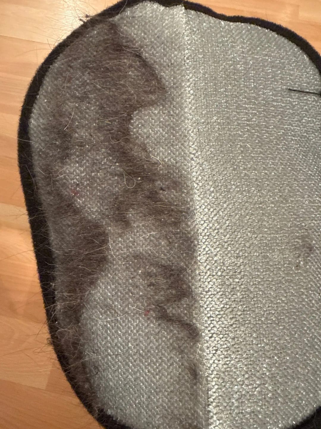 Customer photo review of ™FreeFur כפפת הטיפול בנשירה של Parvati🐾