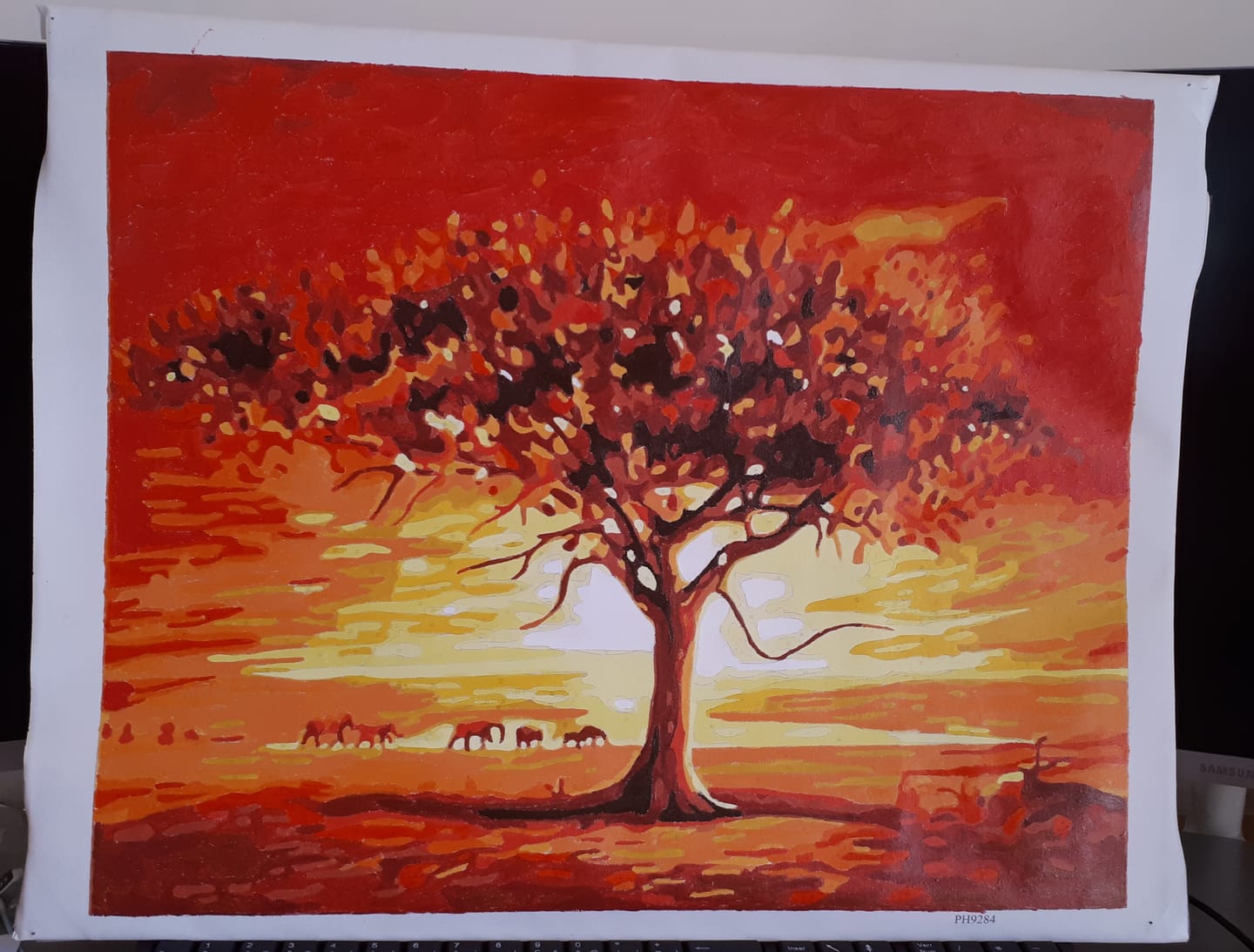 Customer photo review of Coucher de Soleil et Eléphants