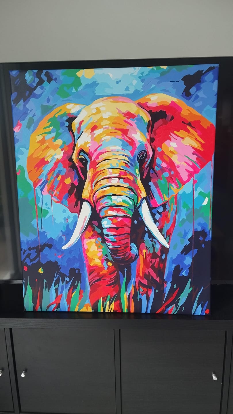 Customer photo review of Éléphant Coloré Abstrait