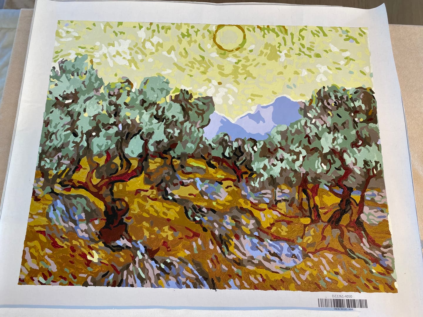 Customer photo review of Van Gogh St Remy Oliviers