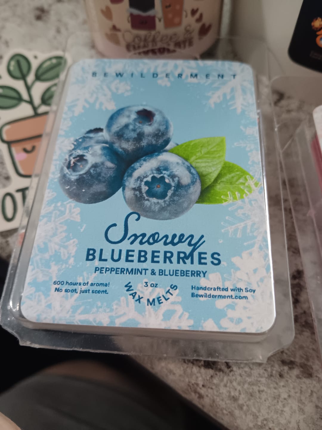 Customer photo review of Snowy Blueberries Wax Melts