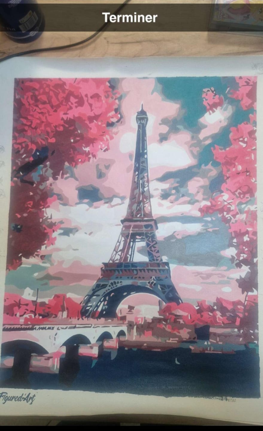 Customer photo review of Tour Eiffel au Printemps