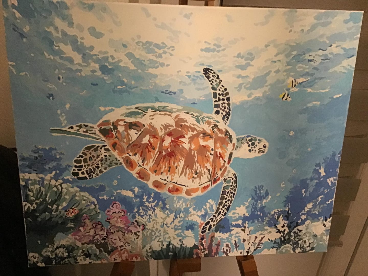 Customer photo review of Tortue en ballade