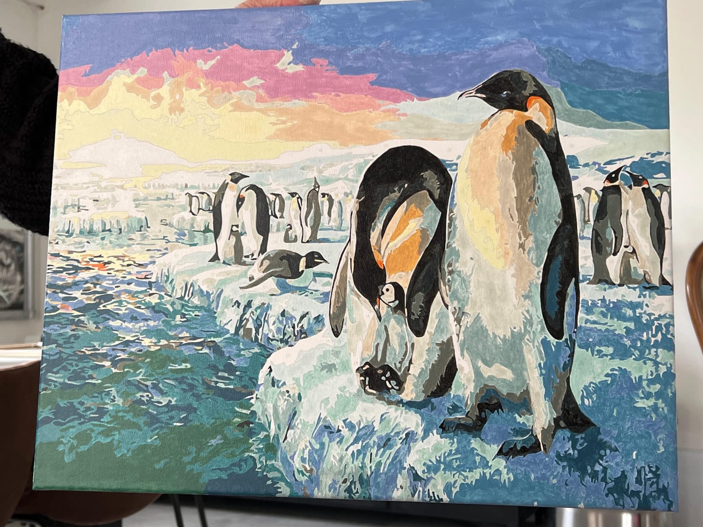 Customer photo review of Pingouins sur la banquise