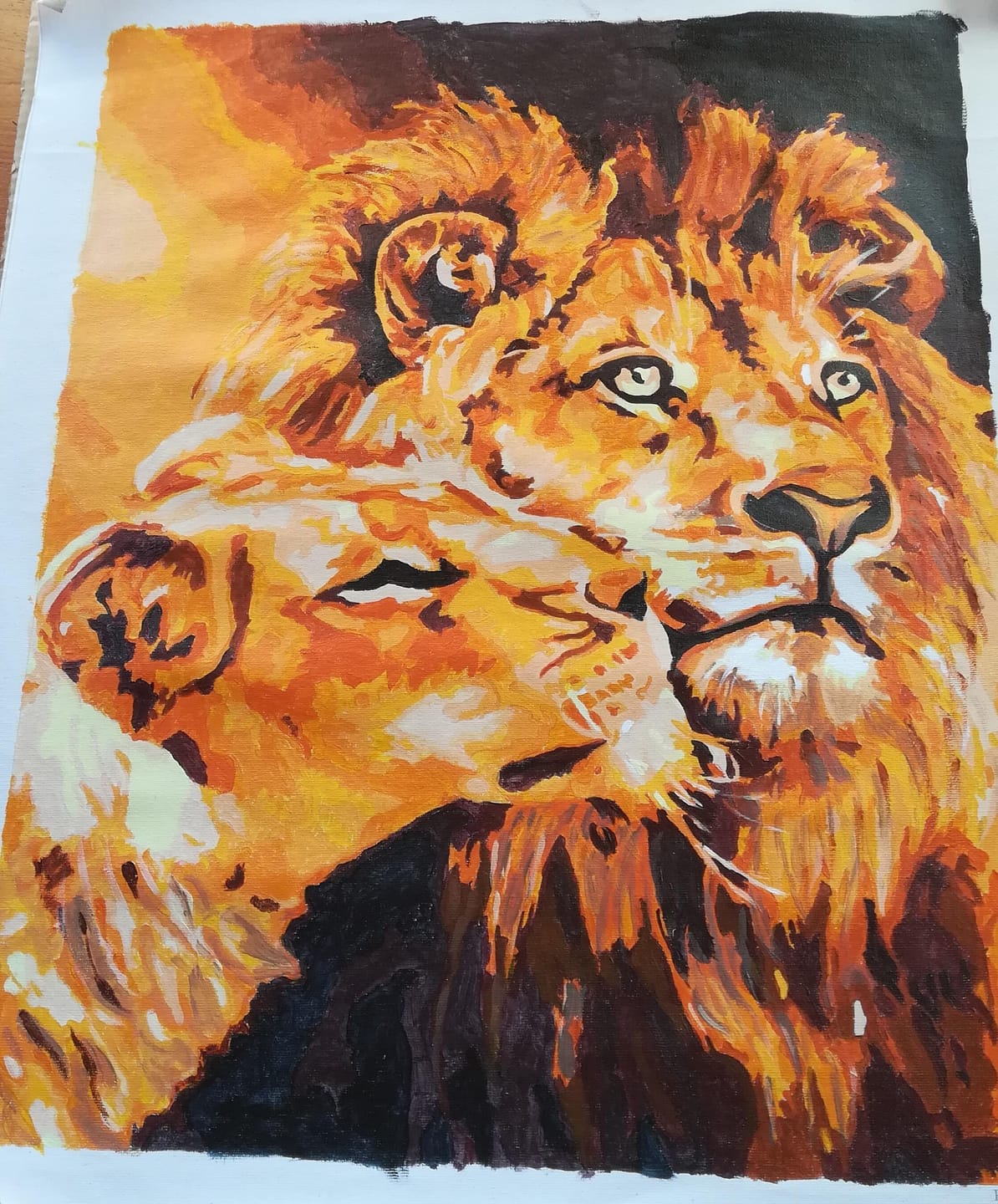 Customer photo review of Couple Lion et Lionne