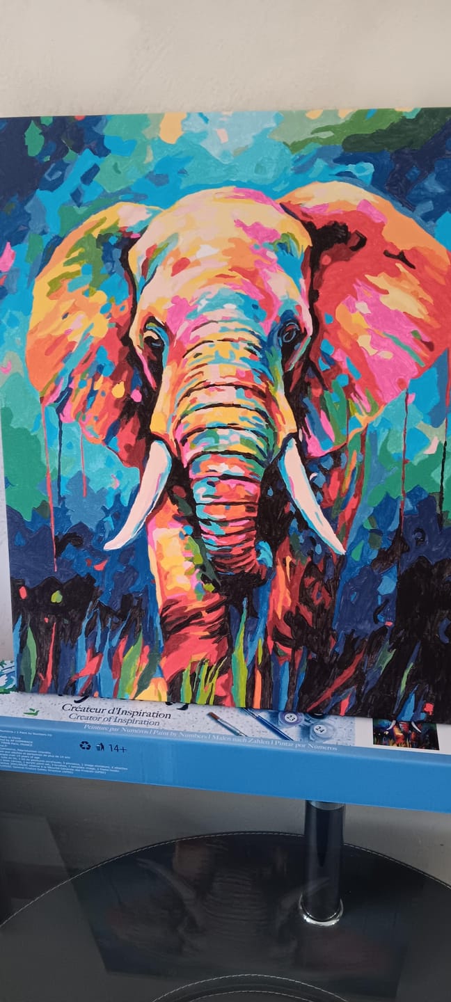 Customer photo review of Éléphant Coloré Abstrait