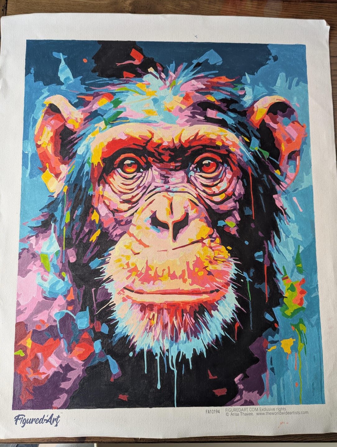 Customer photo review of Chimpanzé Coloré Abstrait