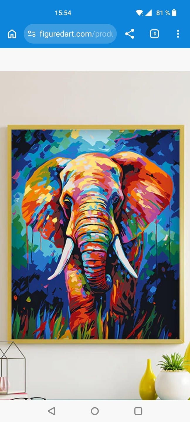 Customer photo review of Éléphant Coloré Abstrait