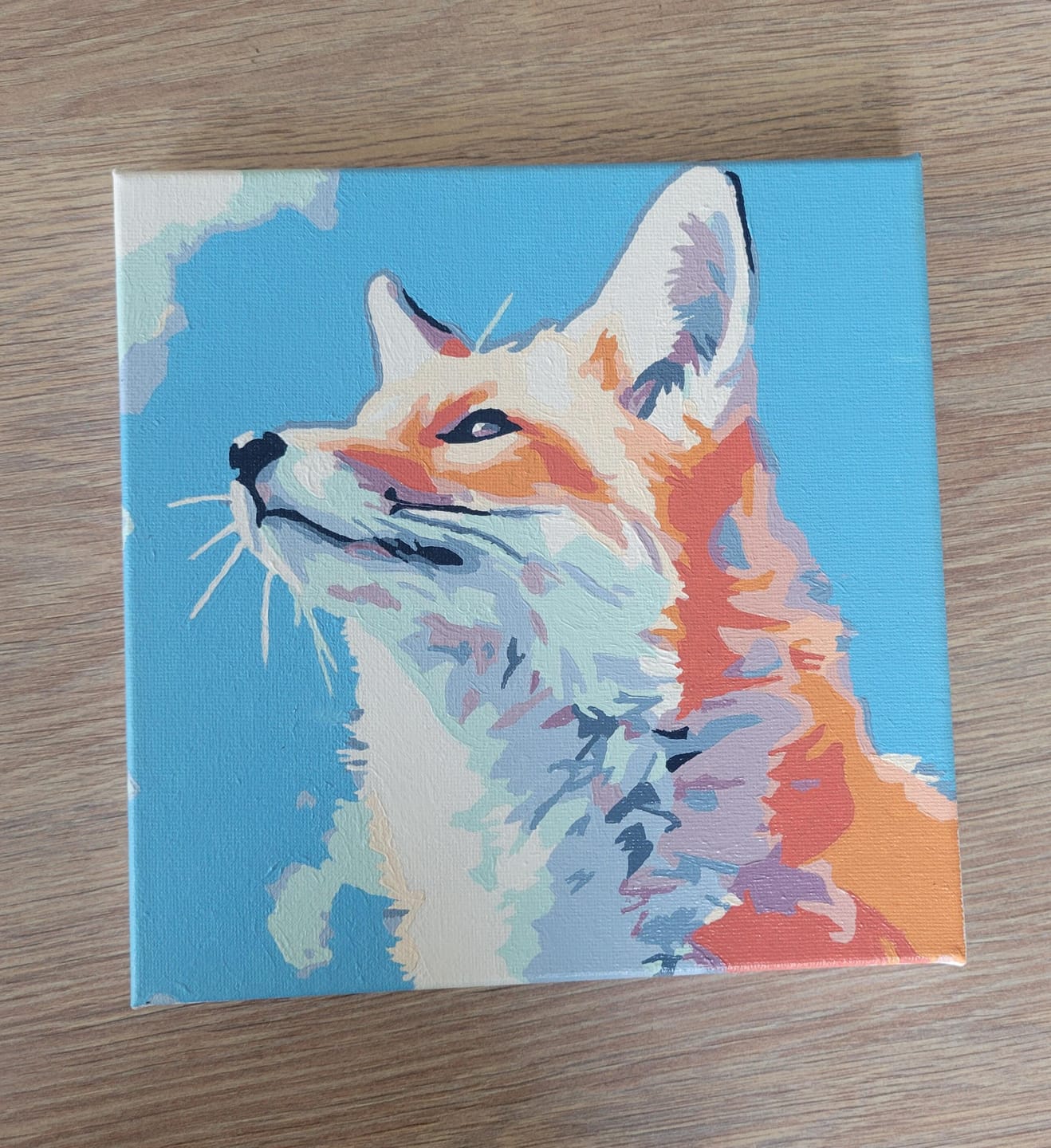 Customer photo review of Mini Peinture par Numéros 20x20cm avec cadre Renard et ciel bleu