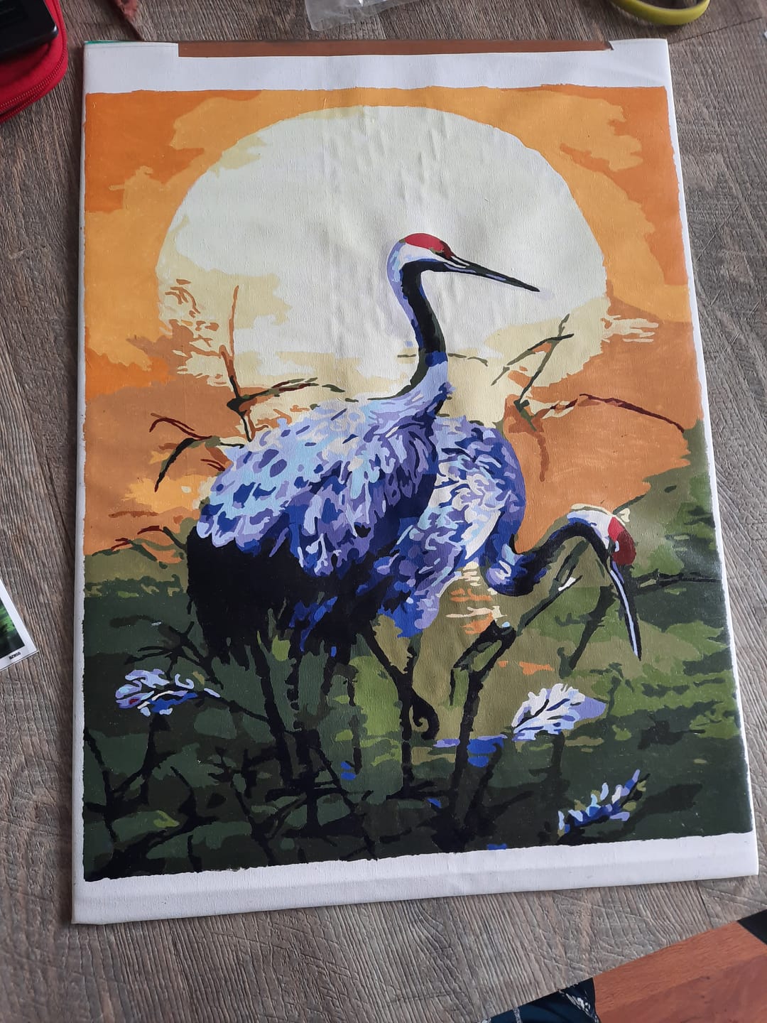 Customer photo review of Grues couronnées