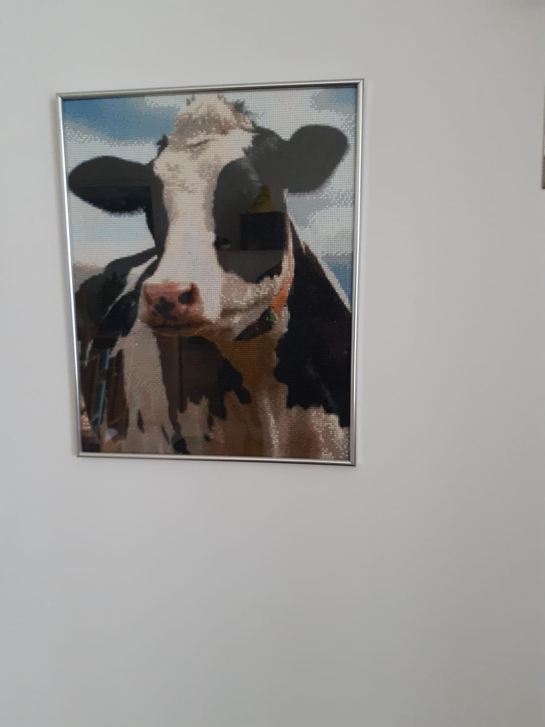 Customer photo review of Broderie Diamant - Belle Vache