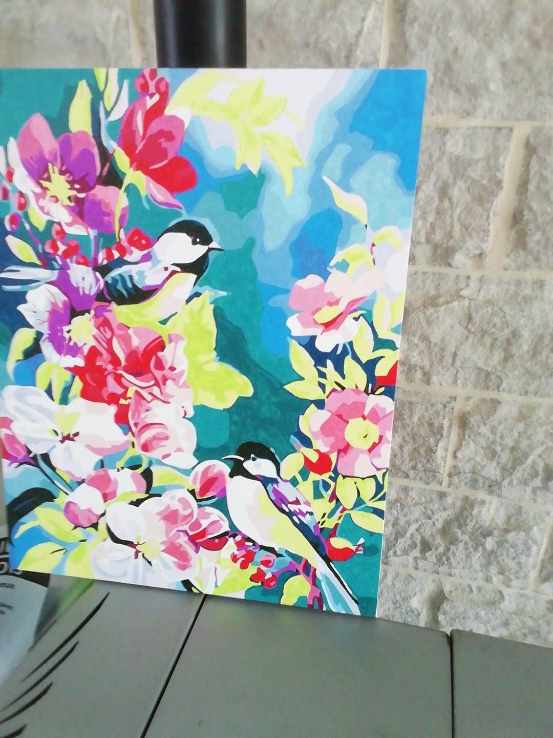 Customer photo review of Jolis oiseaux au Printemps