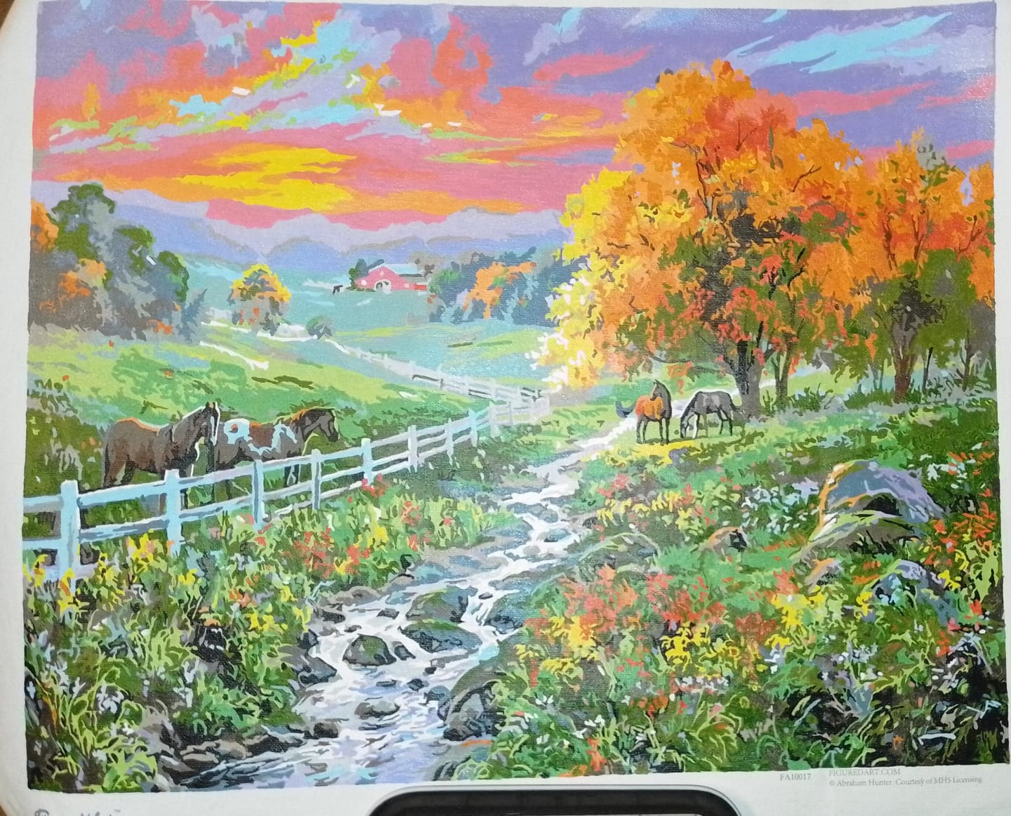 Customer photo review of Prairie ensoleillée