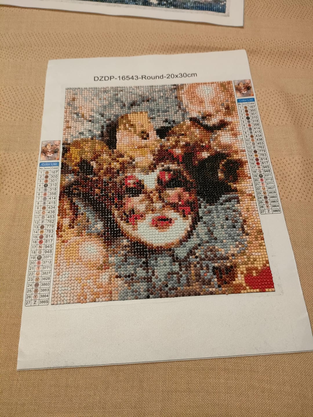 Customer photo review of Broderie Diamant - Carnaval
