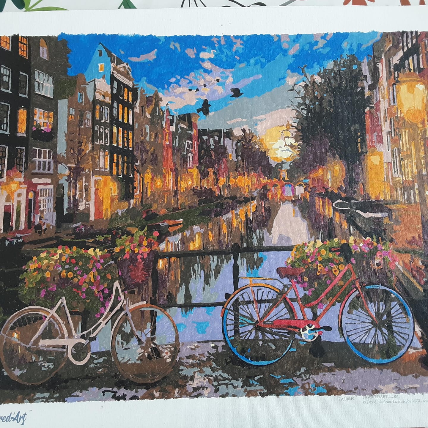 Customer photo review of Canal Amsterdam