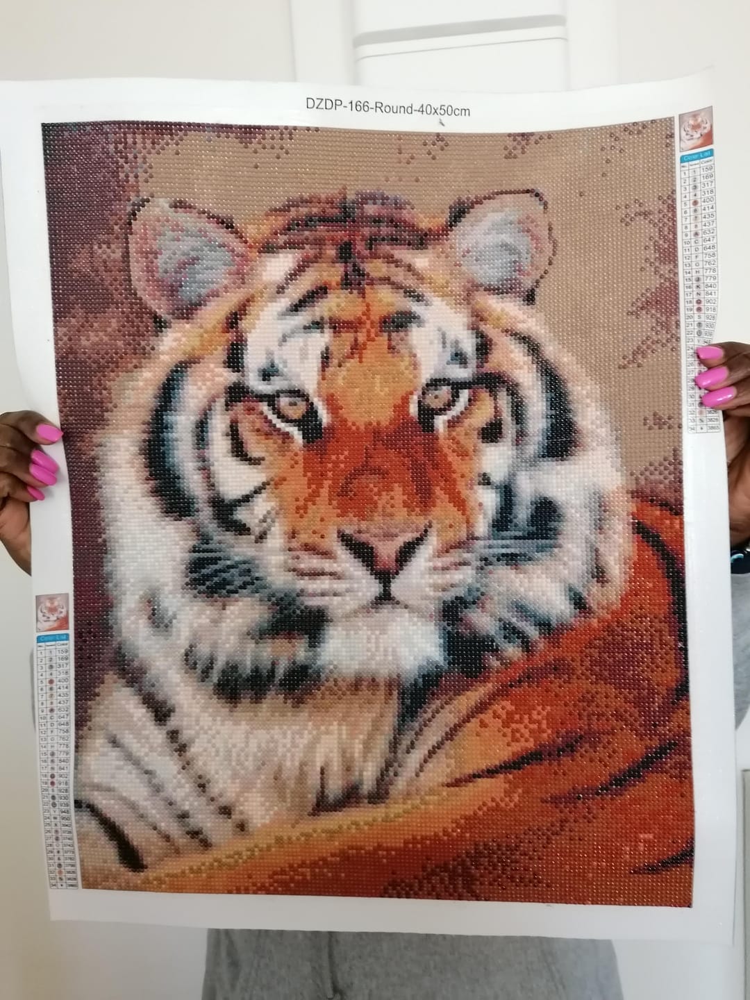 Customer photo review of Broderie Diamant - Regard de Tigre