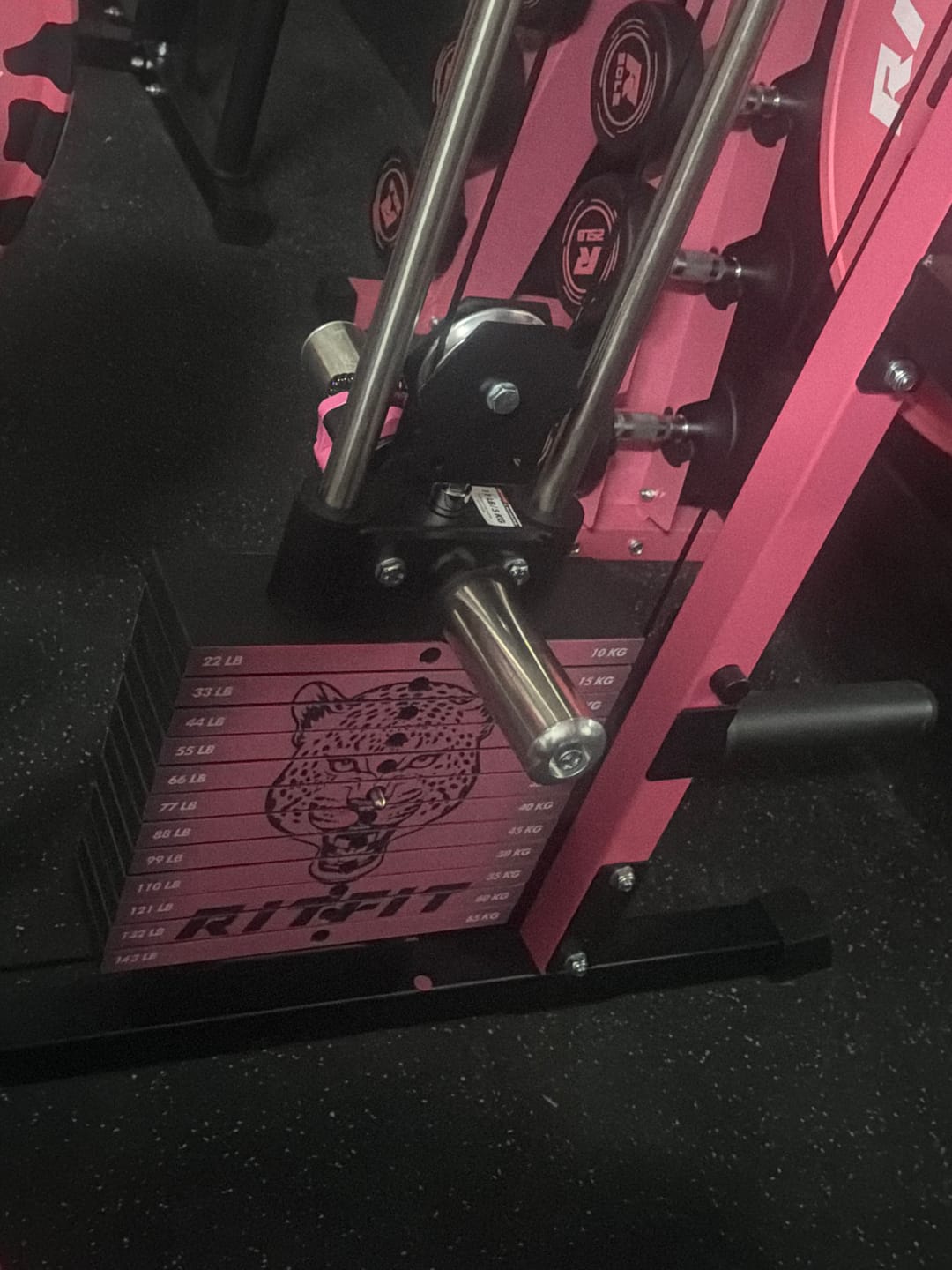 Customer photo review of RitFit WSM1 Weight Stack Set 264lbs for M1 PRO