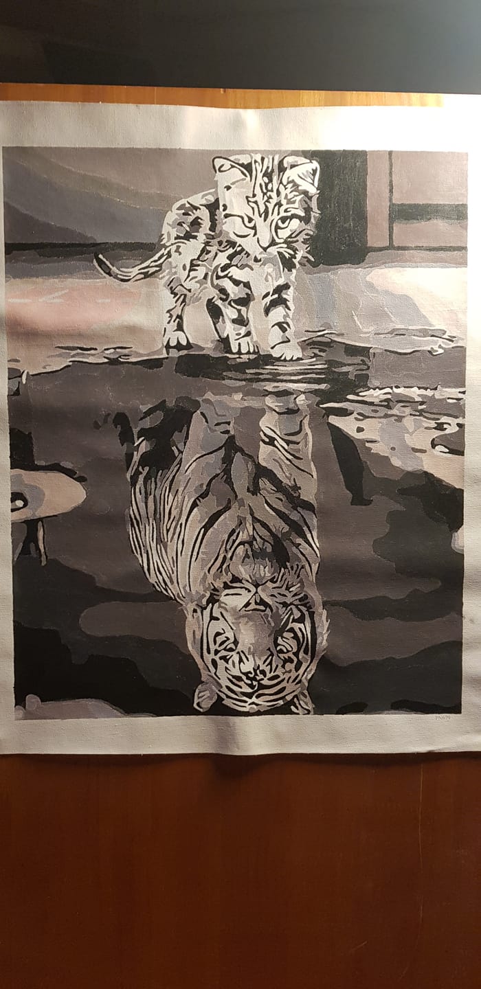 Customer photo review of Chaton Reflet Tigre