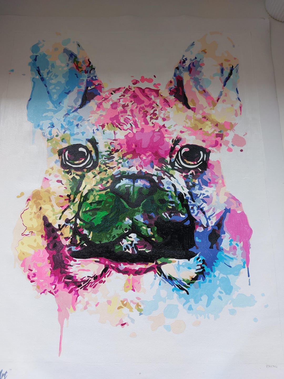 Customer photo review of Joli Chien en Couleurs