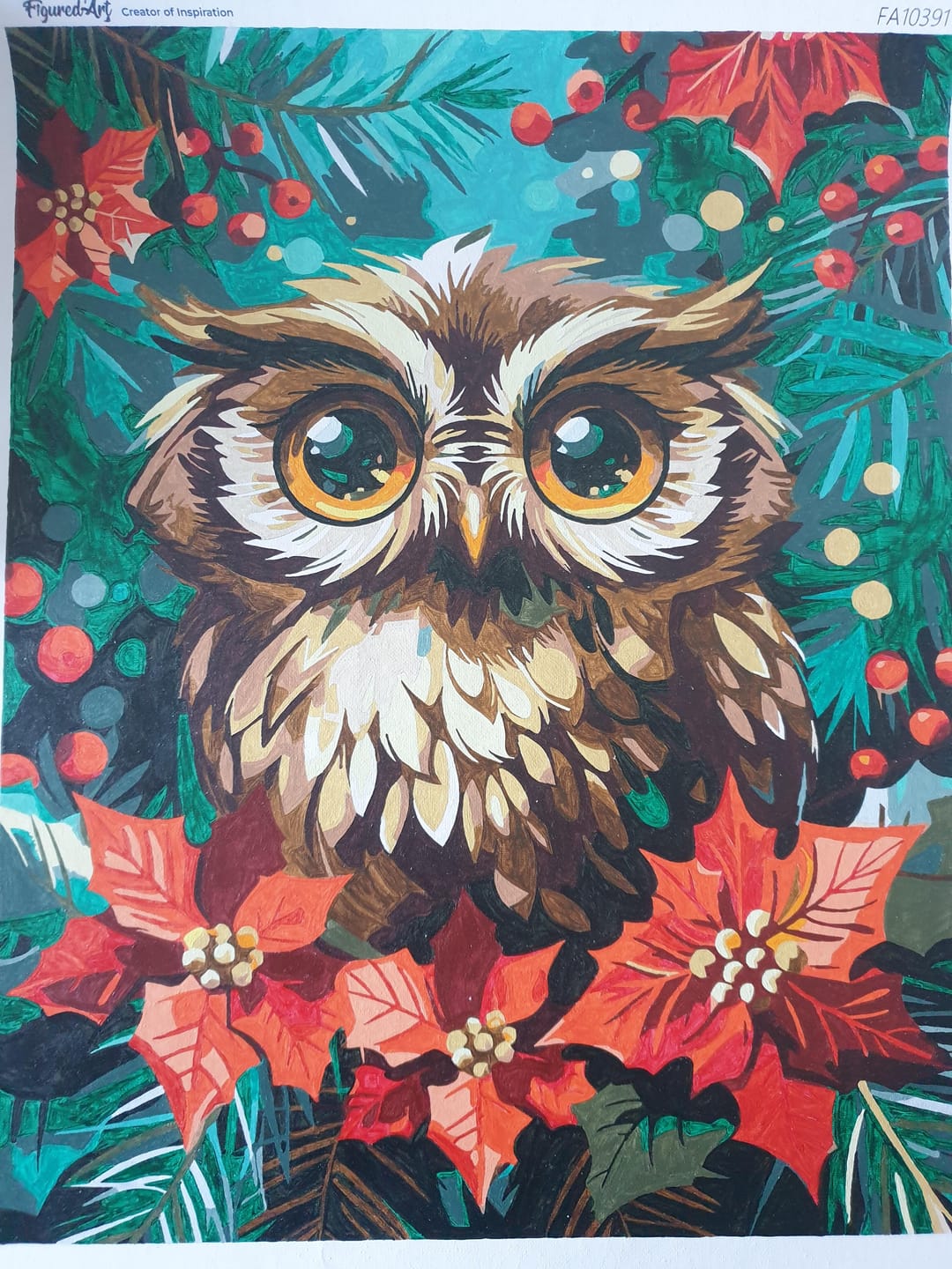 Customer photo review of Chouette de Noël