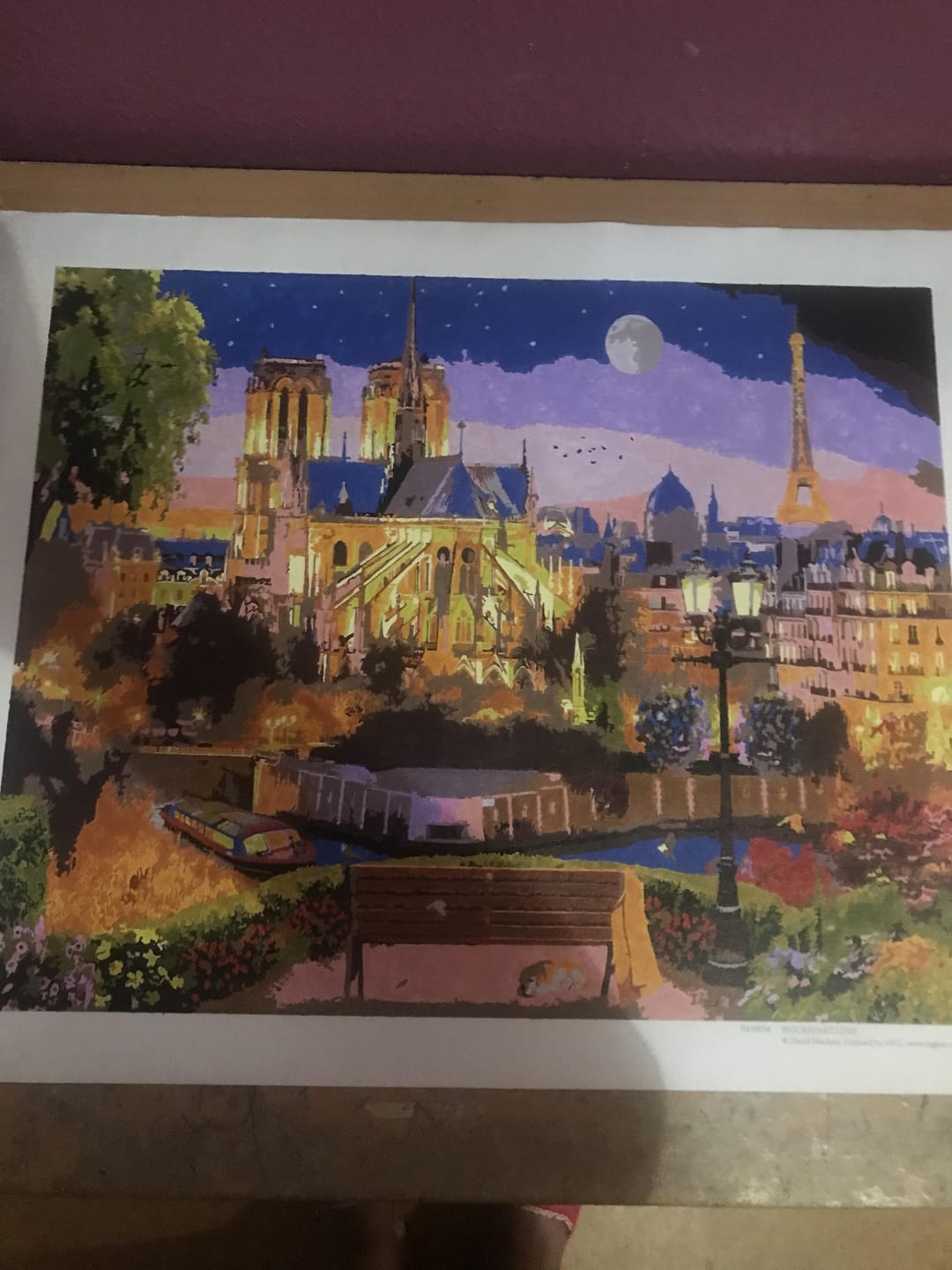 Customer photo review of Notre-Dame Etoilée