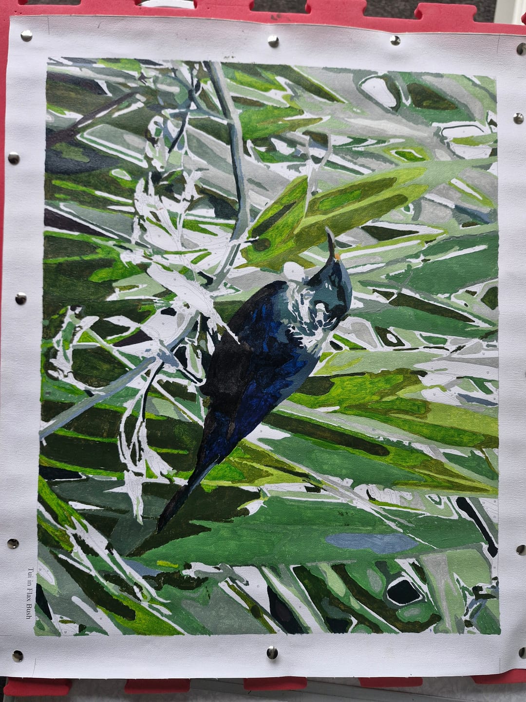 Customer photo review of Tui in Flax Bush