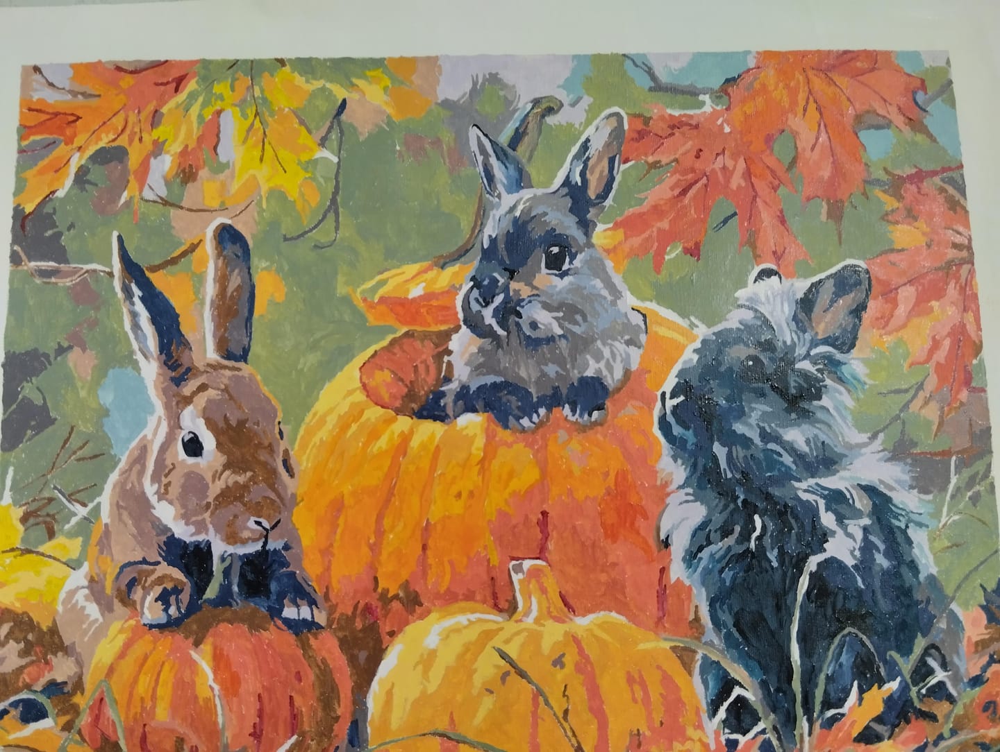 Customer photo review of Trio de Lapins