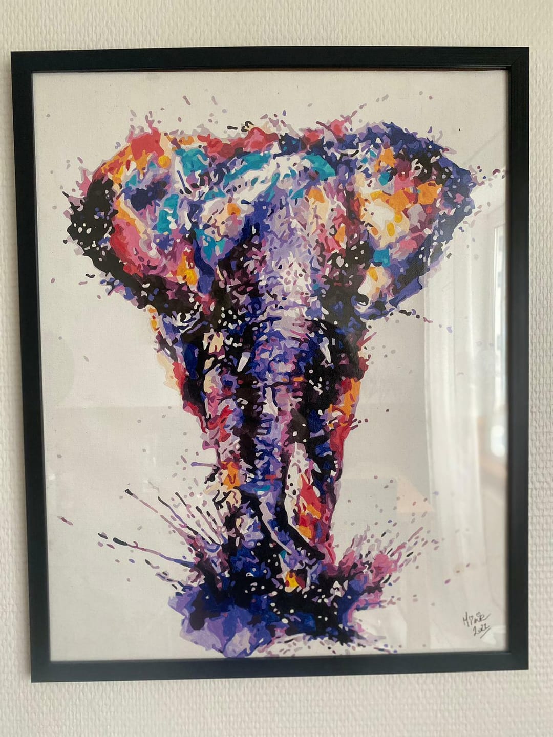 Customer photo review of Eléphant d'Asie en peinture