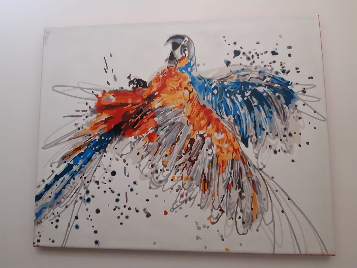 Customer photo review of Perroquet en plein Vol