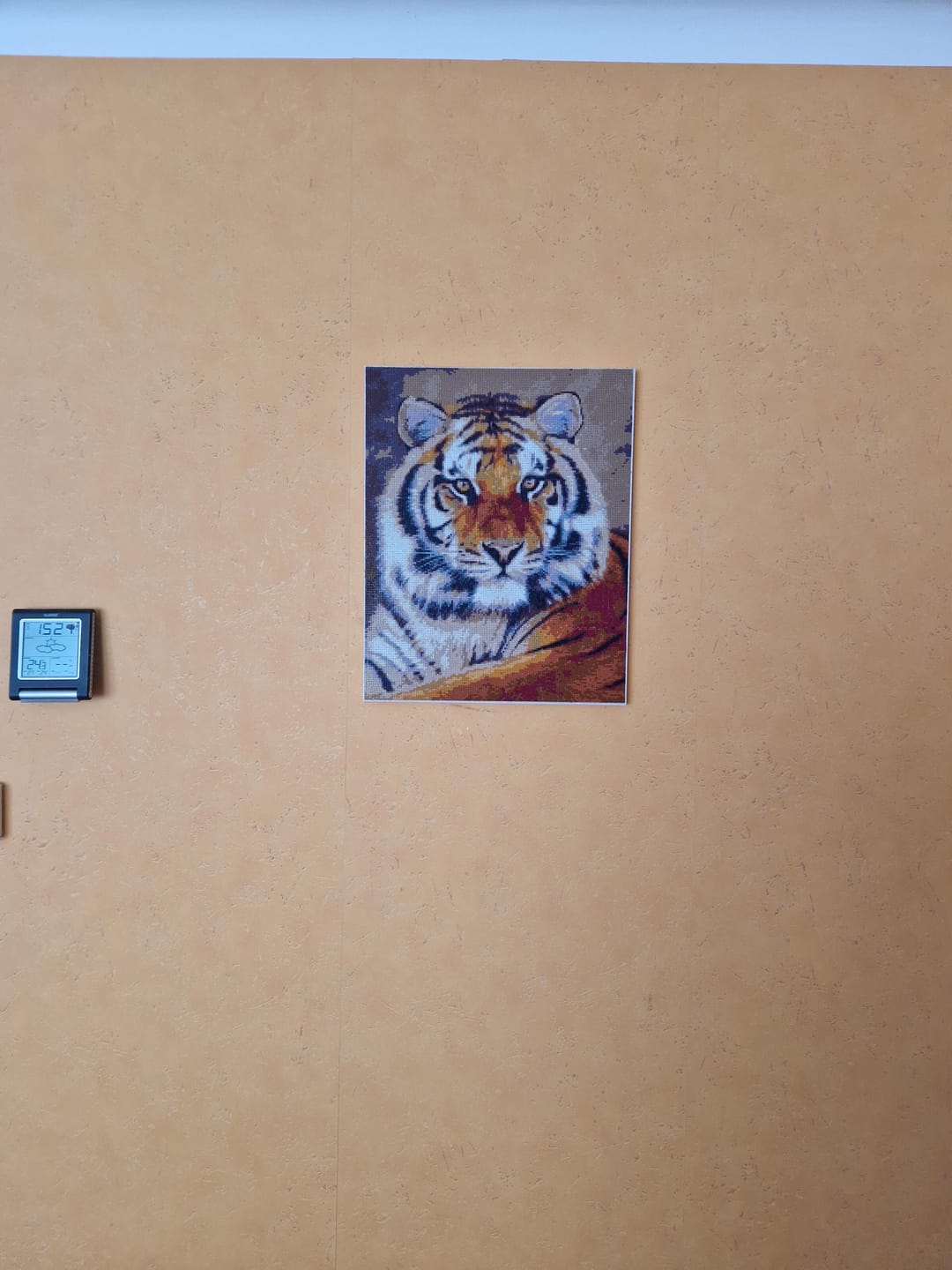 Customer photo review of Broderie Diamant - Regard de Tigre