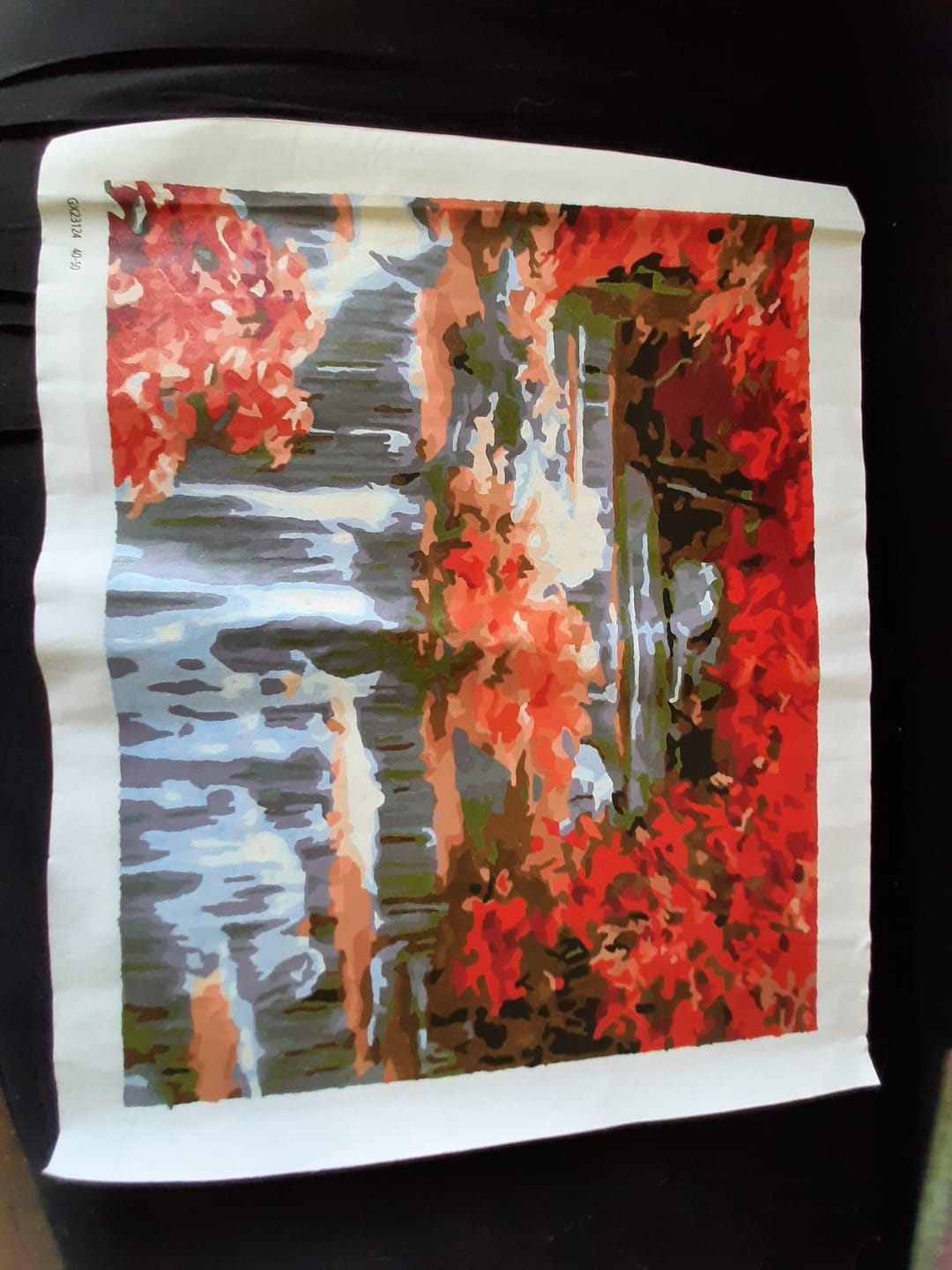 Customer photo review of Cascade