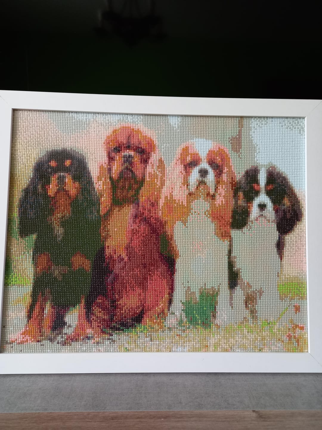 Customer photo review of Broderie Diamant - Famille Chiots