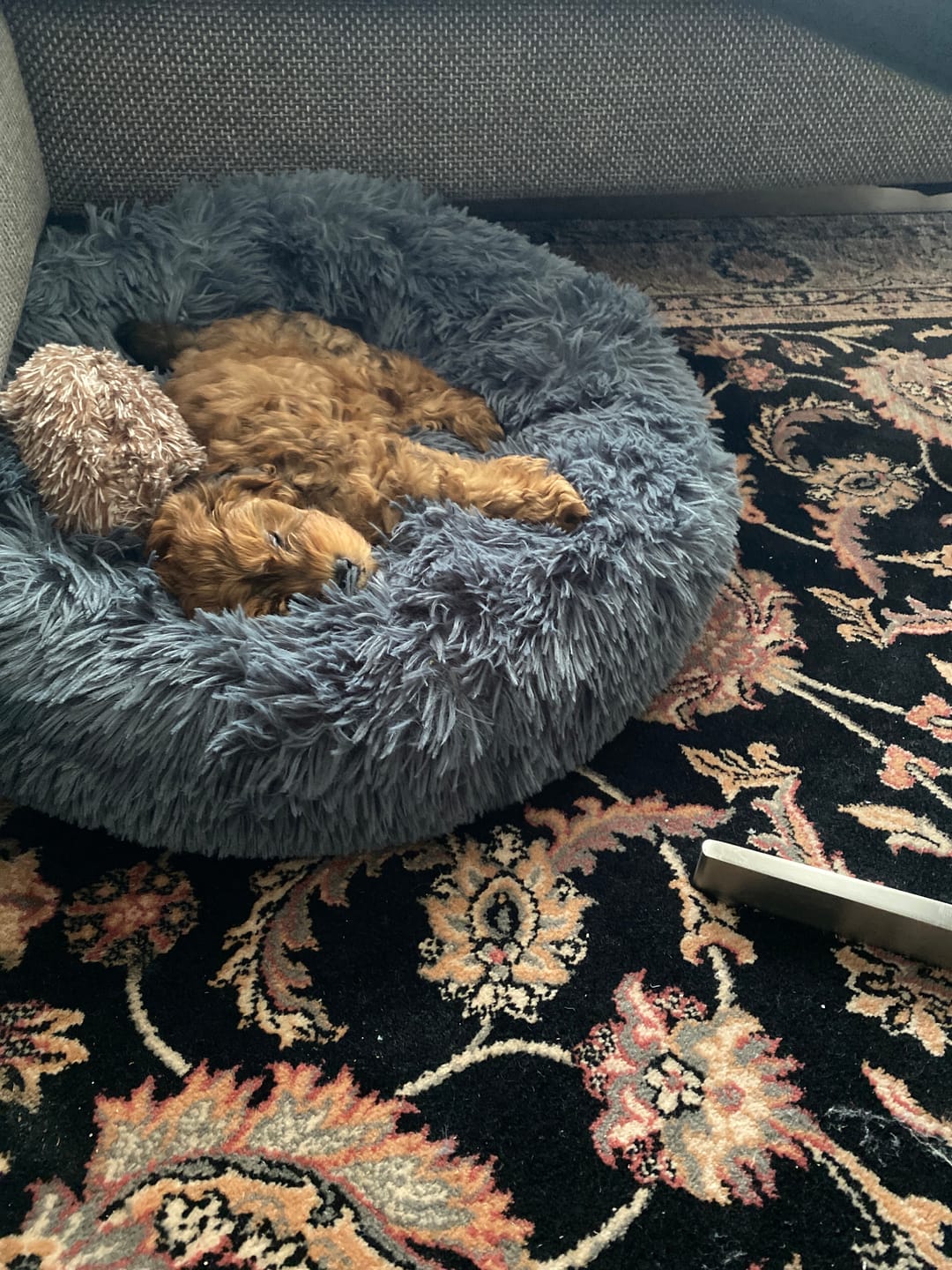 Customer photo review of Fluffy Donut Hundeseng, antracit grå