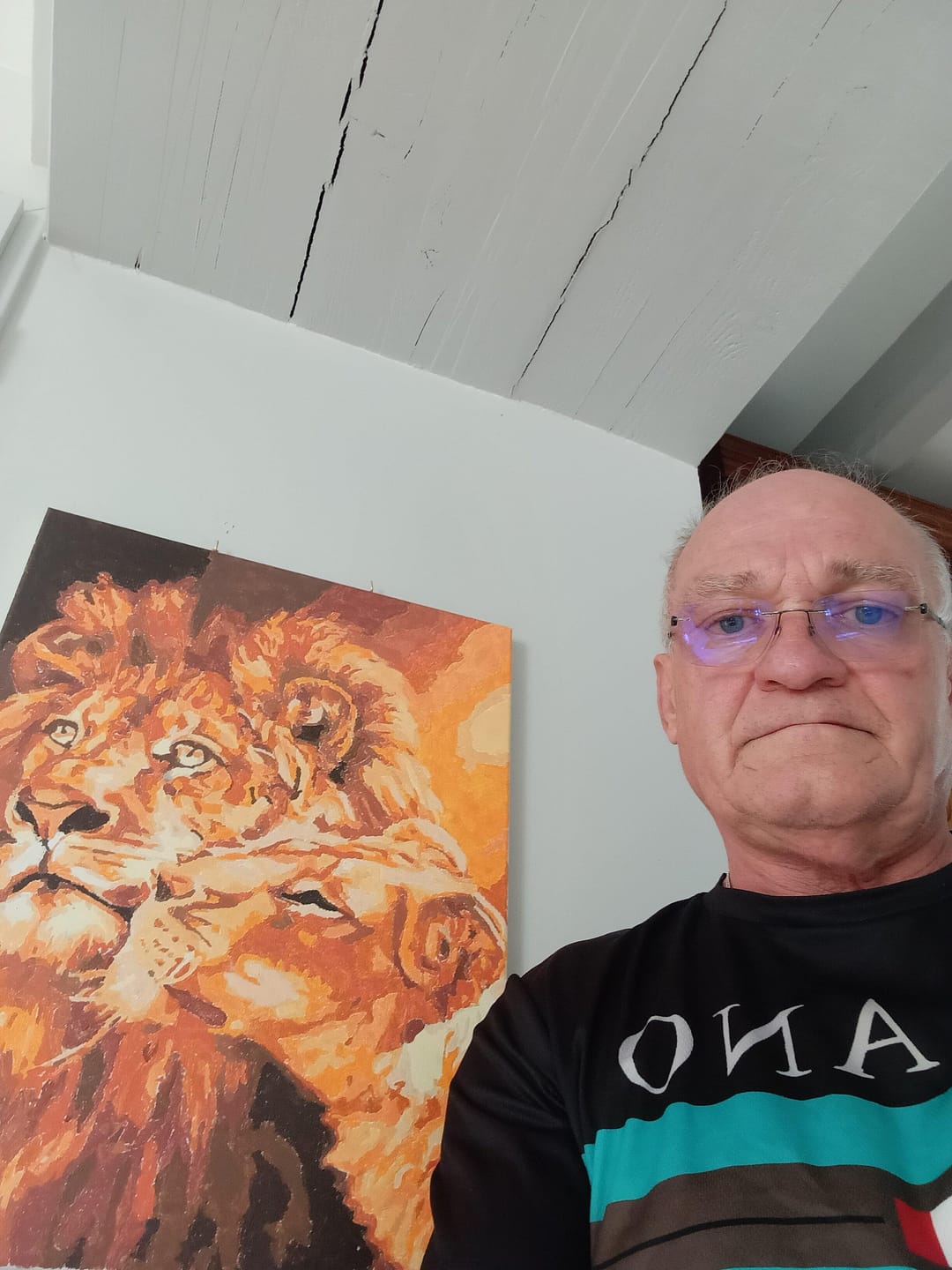 Customer photo review of Couple Lion et Lionne