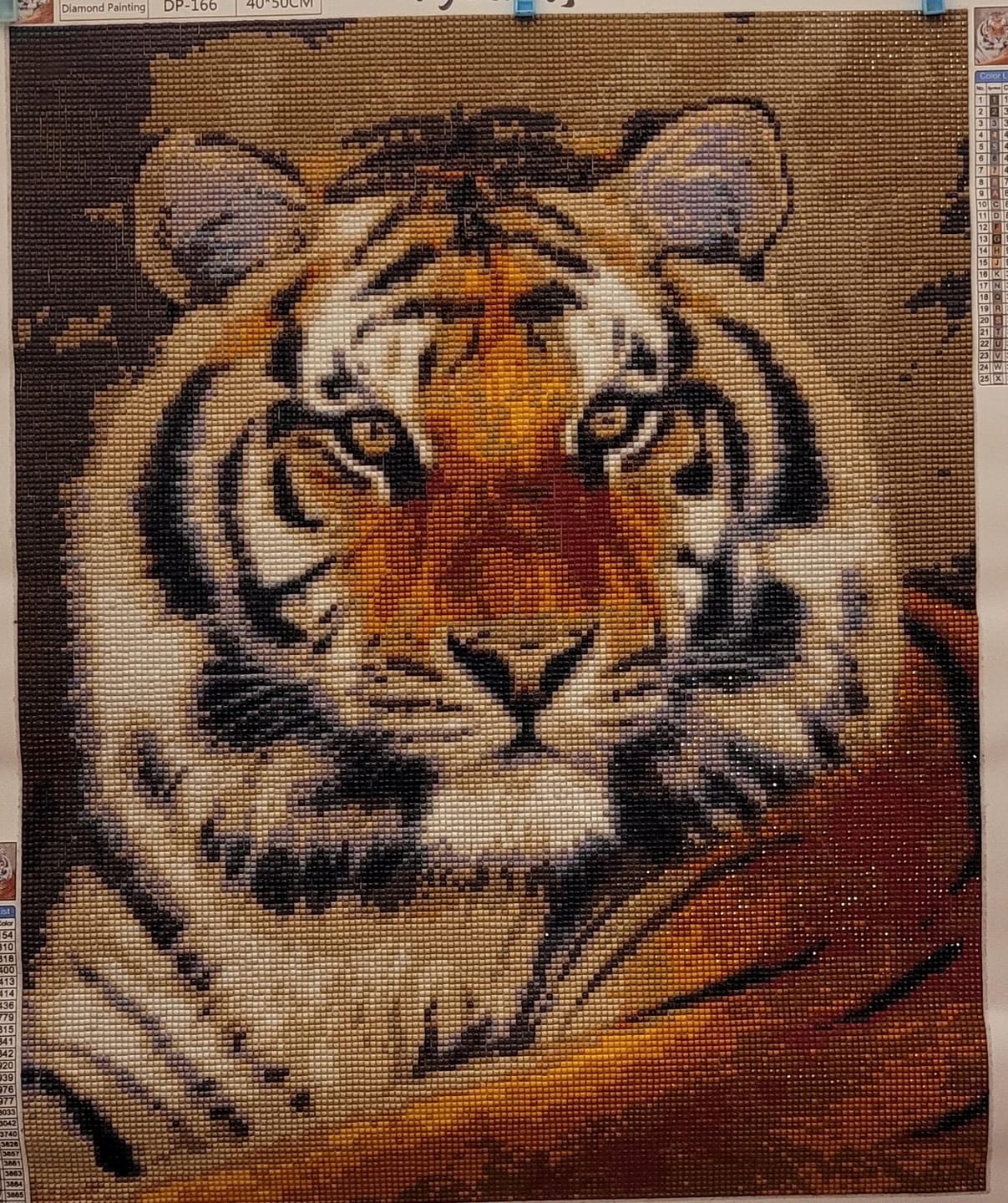 Customer photo review of Broderie Diamant - Regard de Tigre