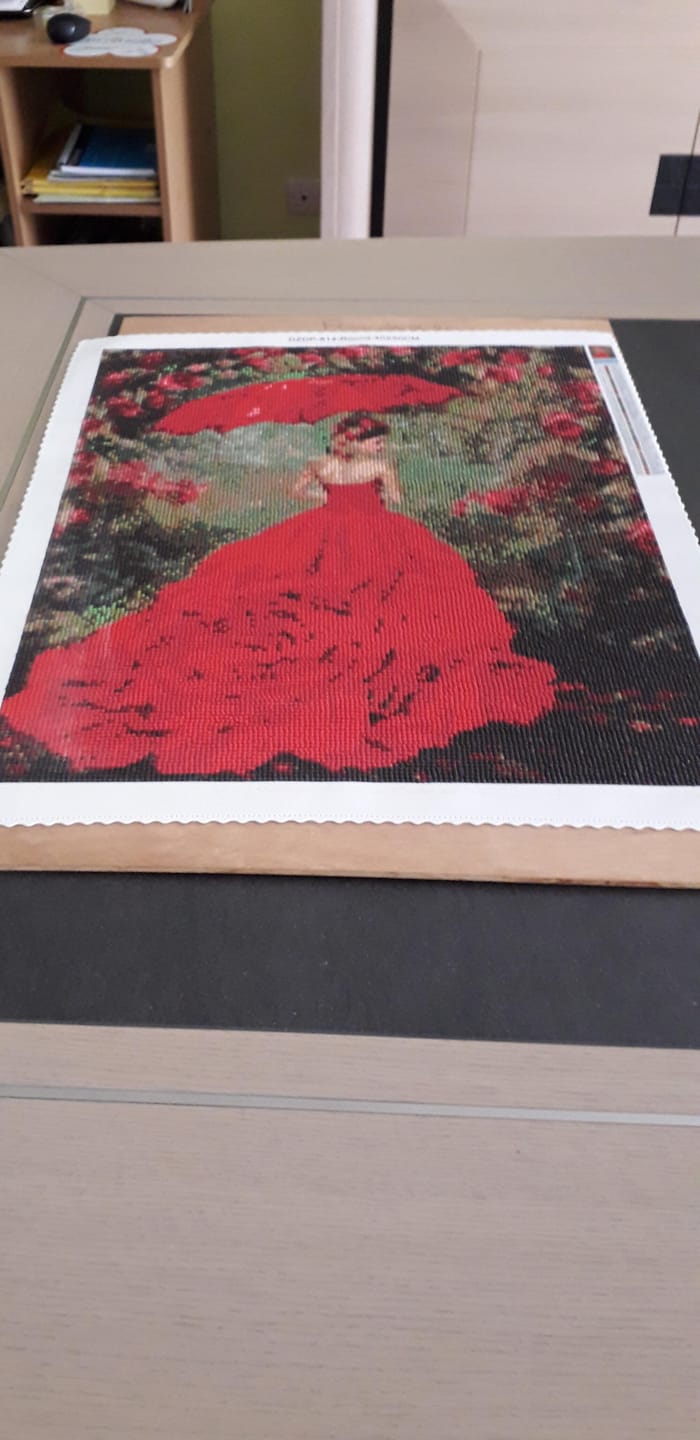 Customer photo review of Broderie Diamant - Femme à la Robe rouge
