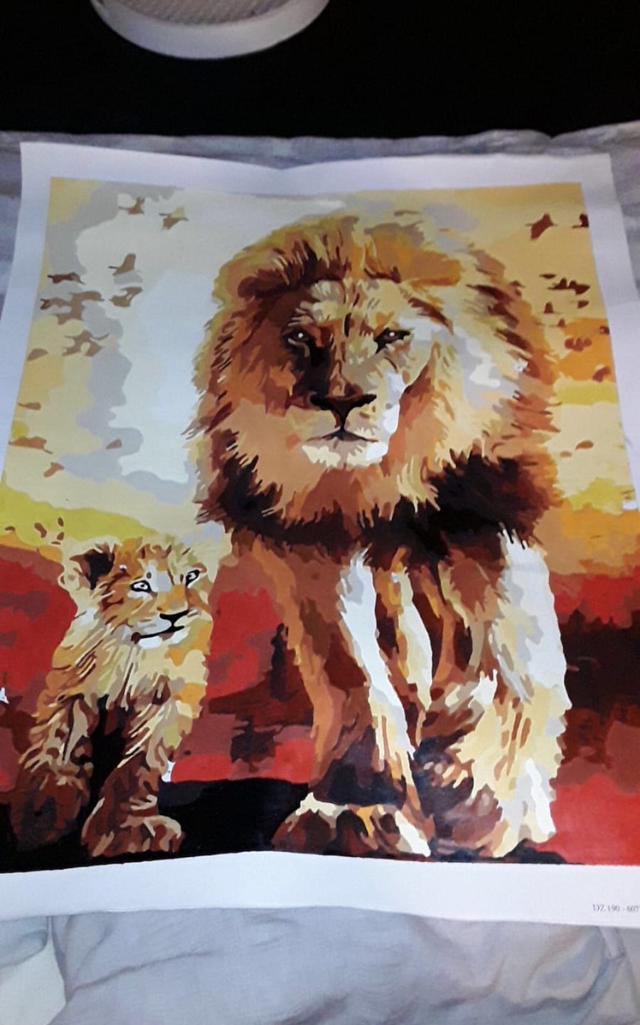 Customer photo review of Lion et son Petit
