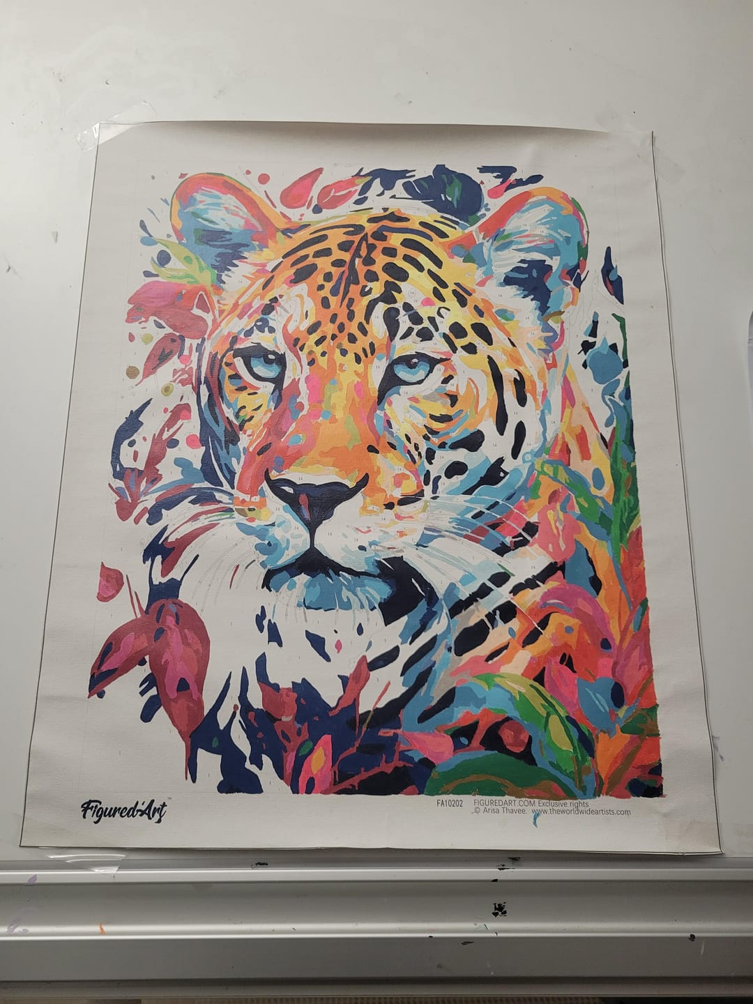 Customer photo review of Léopard Coloré Abstrait