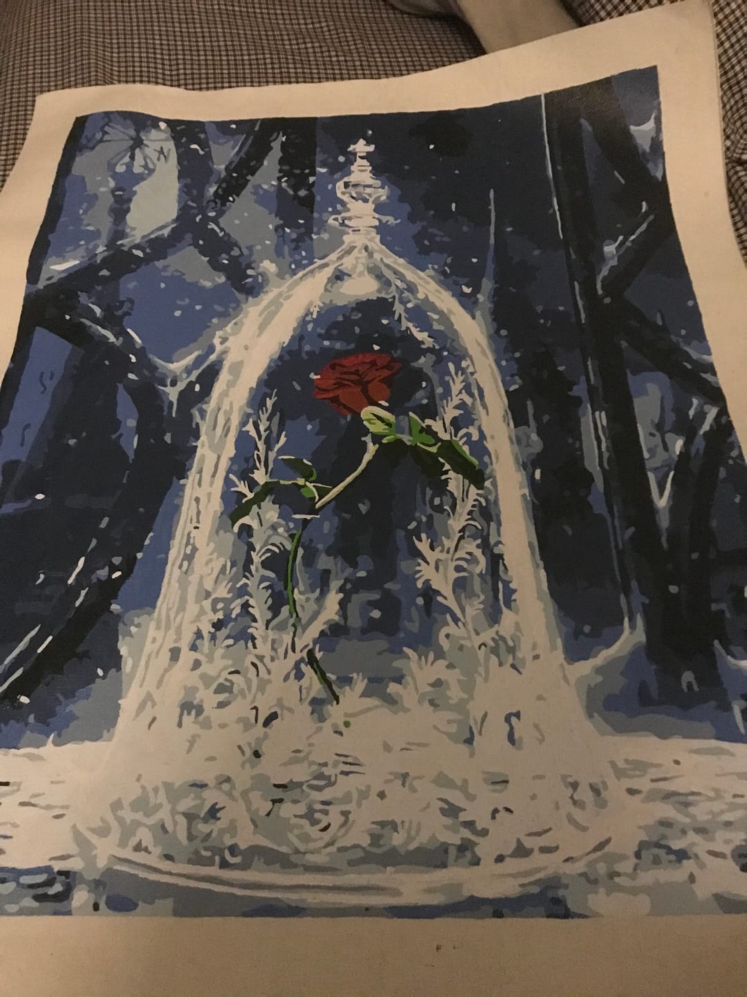 Customer photo review of Rose Enchantée
