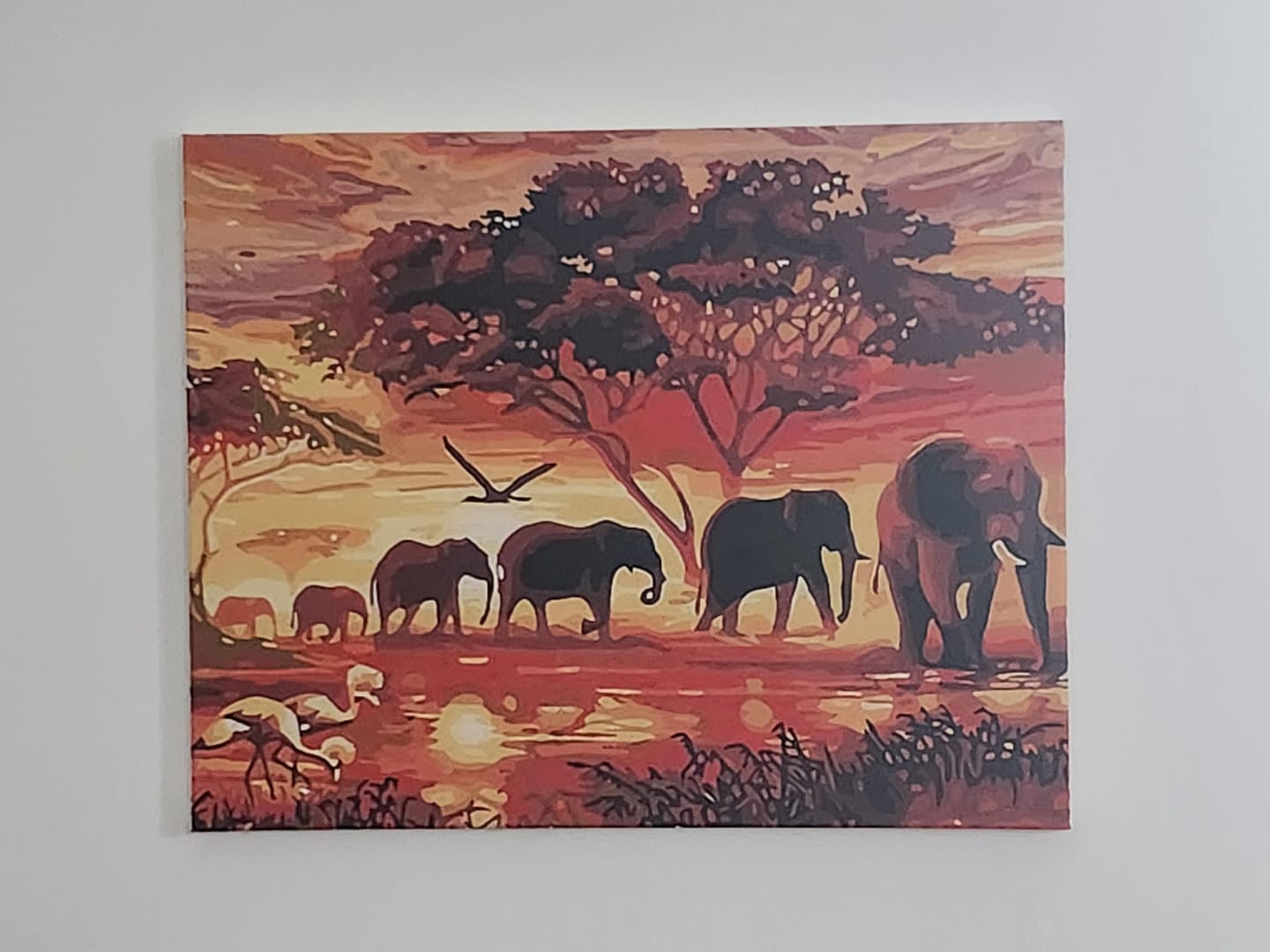 Customer photo review of Eléphants au Coucher du soleil