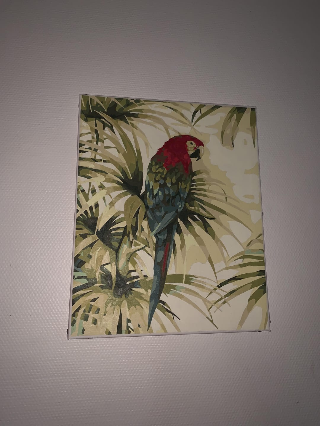Customer photo review of Papillons blanc et Marguerites rouges
