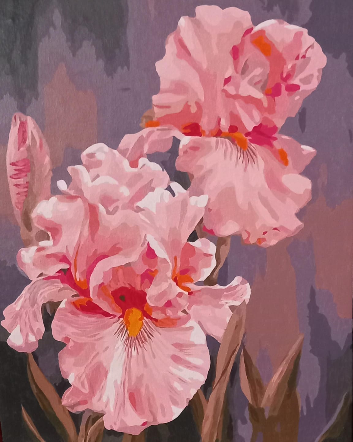 Customer photo review of Iris rosé