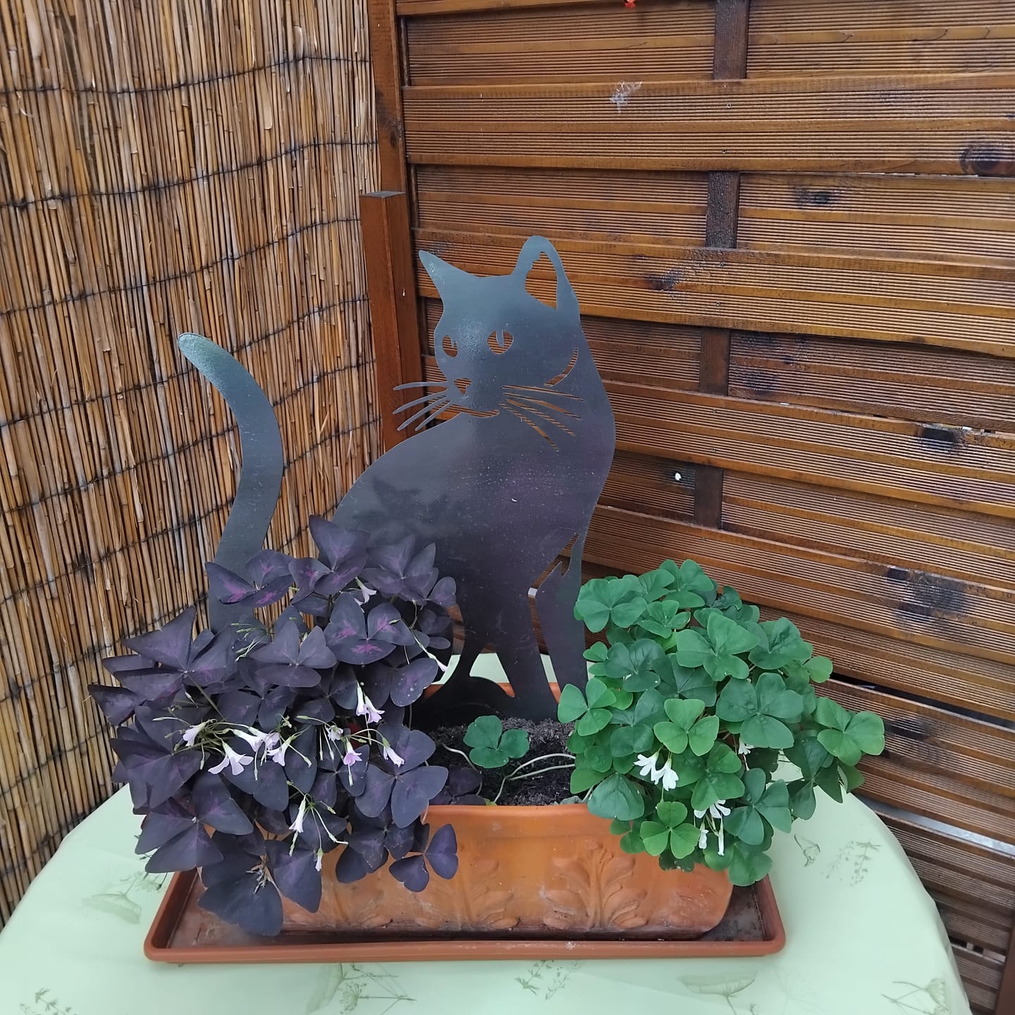 Customer photo review of Gartenstecker Katze sitzend