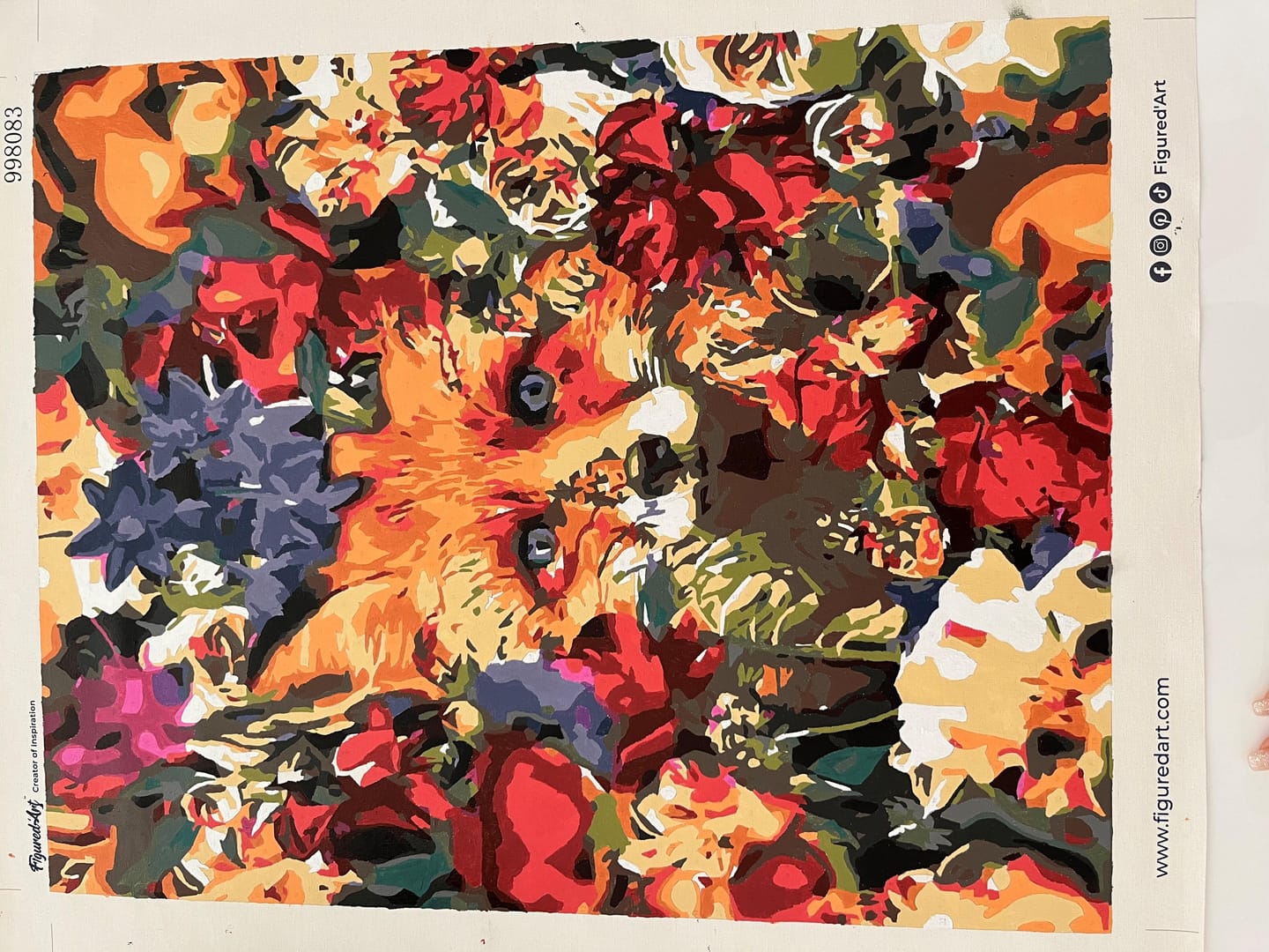 Customer photo review of Renard dans les Fleurs