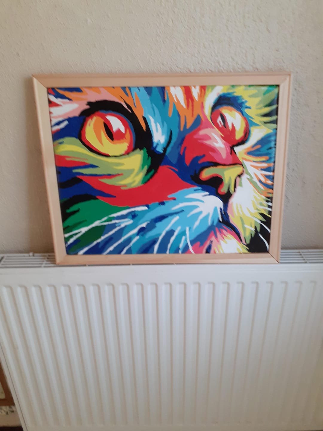 Customer photo review of Félin Pop Art