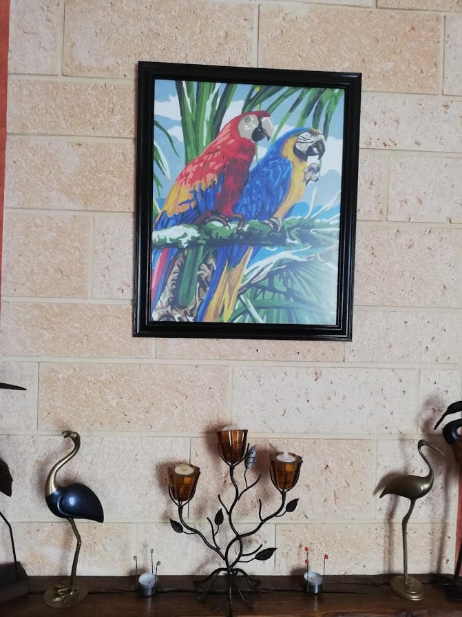 Customer photo review of Perroquets sous les tropiques