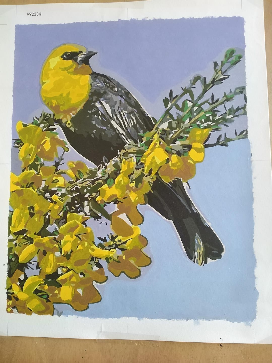 Customer photo review of Oiseau à tête jaune sur branche
